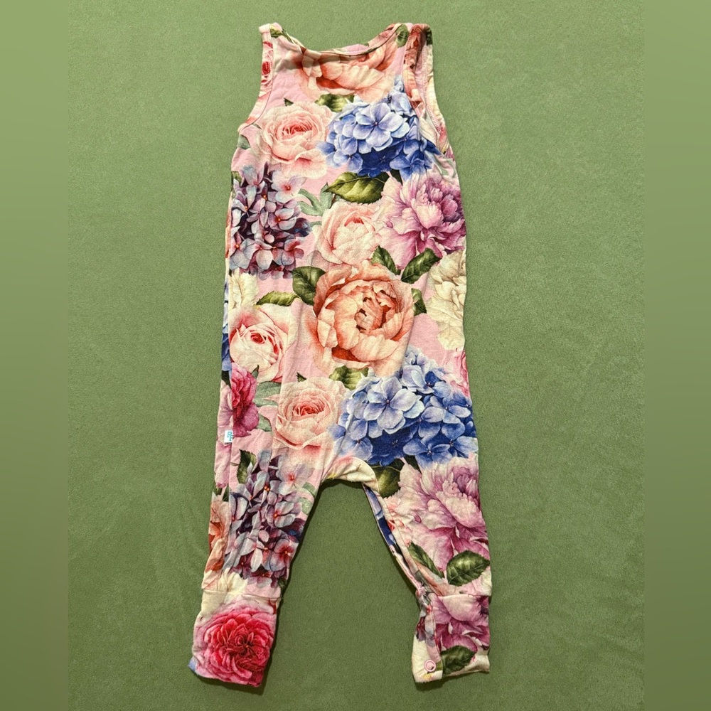 Posh Peanut Floral Sleeveless Romper 9-12 Gently Used